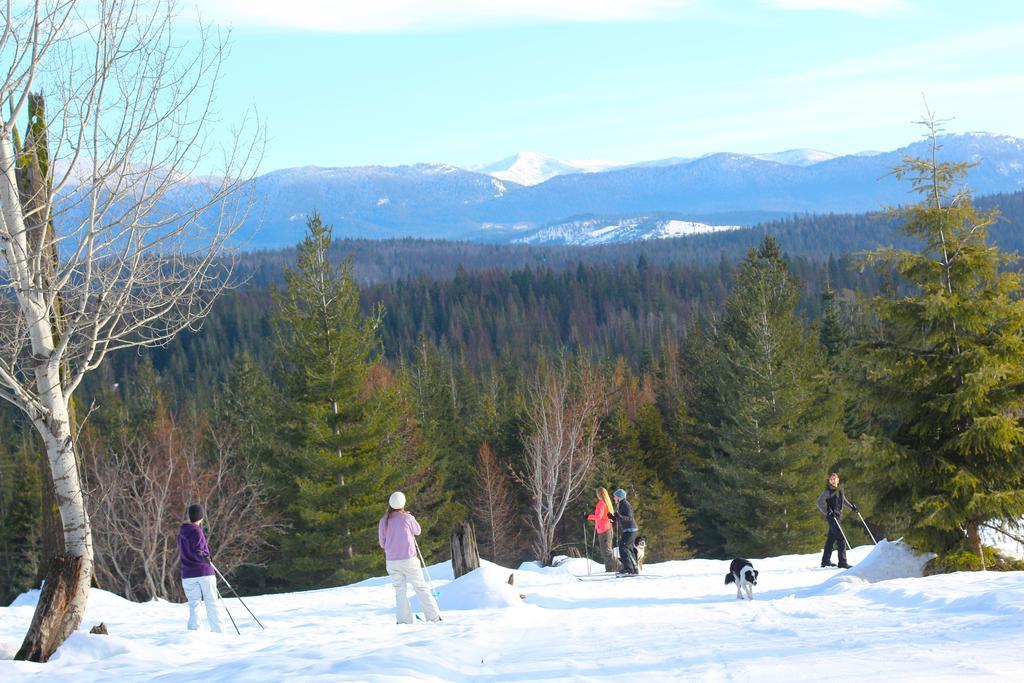 Western Pleasure Guest Ranch Sandpoint Kültér fotó