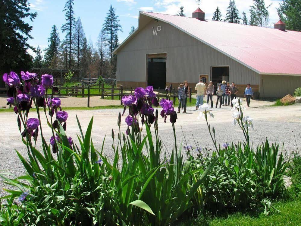 Western Pleasure Guest Ranch Sandpoint Kültér fotó